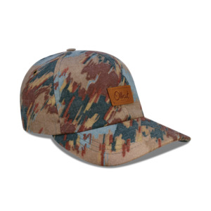 Appalachian Trail  - 6 panel dad hat