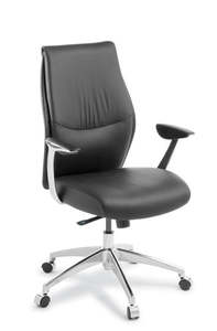 Executive: Eden Domain Mid Back Chair