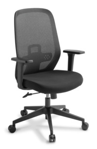 New Releases: Eden Memo Mesh Chair - SPECIAL - Delivered in a Box