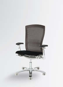 Executive Mesh Chairs: Life Chair