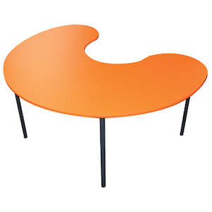 Fern Education Table