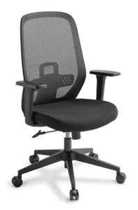 Executive Mesh Office Chairs: Memo office chair