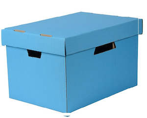 Filing Organising: Esselte Archive Boxes - Coloured - 5 Pack