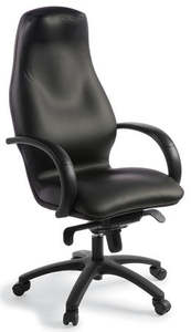 Executive And Boardroom Chairs: Silhouette Executive Office Chair in Black Leather - 7 Sizes
