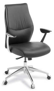 Executive And Boardroom Chairs: Domain Executive Chair in Genuine & PU Leather - Midback and Highback
