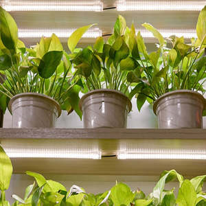 LED Grow Light Tube