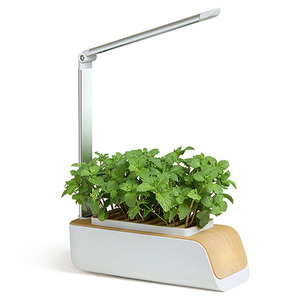 Indoor Hydroponic Planter Kit & Grow Light