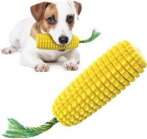 Durable Squeaky Dog Chew Toy