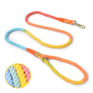 Pets: Soft Braided Colourful Dog Leash