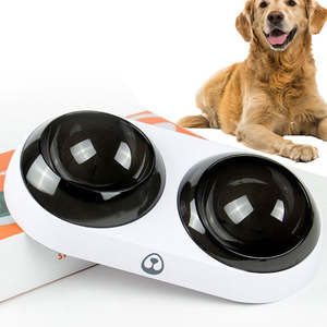Frontpage: 15 Degree Elevated Pet Bowl Double