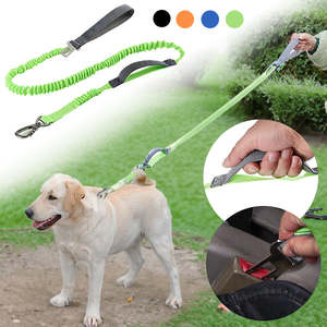 2 in 1 Dog Bungee Leash & Car Seatbelt