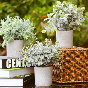 Garden: Mini Potted Artificial Plants 3 Piece Set