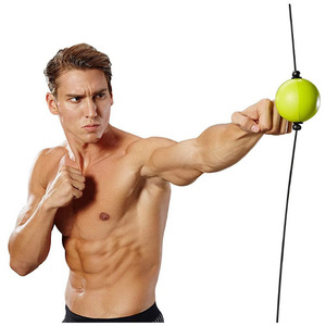 Frontpage: Boxing Quick Puncher Reflex Ball