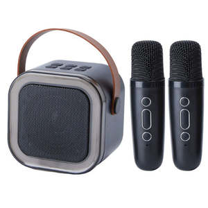 Portable Karaoke Machine with 2 Wireless Microphones