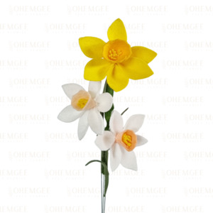 Products: Daffodil – 3 stems