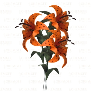 Products: Tiger Lily – 3 stems