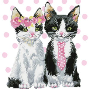 Sweet Crafts Diamond Dotz: Intermediate - Mr & Mrs Pink