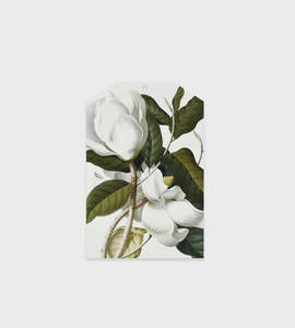 Father Rabbit - Gift Tag - Gardenia