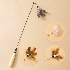 Cat Teaser Wand with 3 Replaceable Bug Feather Heads