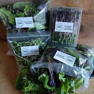 Frontpage: PENZANCE/DUNCAN BAY - $21 Salad Pack + $5 Delivery via Post, FORTNIGHTLY THURSDAYS WINTERTIME