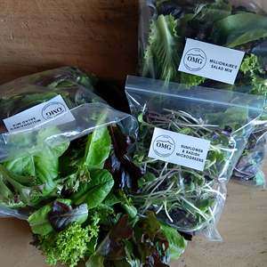 Frontpage: HAVELOCK - $16 Salad Pack - FREE Delivery to OMG Locker - FORTNIGHTLY THURSDAYS WINTERTIME