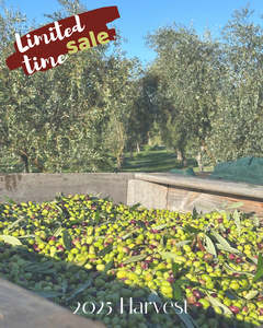 2025 Harvest Olivo Extra Virgin Olive Oil