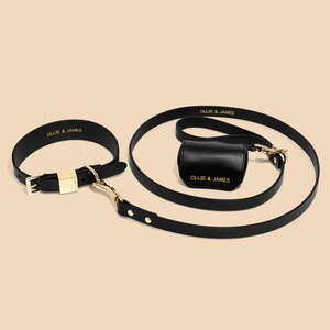 Dog Collars: Ultimate Walk Set - Sable