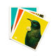 100%NZ Pack of 3 Swedish Dishcloths – Bright Birds