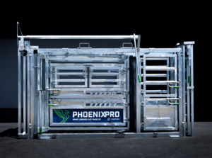 Crush: Phoenix Pro Crush