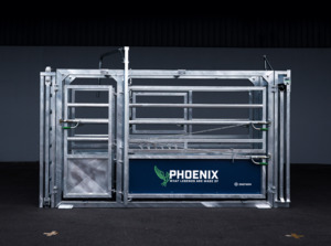 Crush: Phoenix Crush