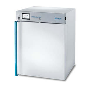 HettCube 120 Incubator (General Purpose), forced convection, temperature range 6&hellip;