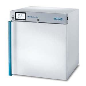 Ovens Incubators: HettCube 60 Incubator (General Purpose), forced convection, temperature range 7,5 K above ambient temperature up to + 65 °C, Internal volume (l): 56, 220-240  V1~, 50-60 Hz