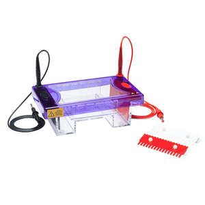 Electrophoresis: Multi Sub Midi, 10 x 7cm & 10 x 10cm UV Tray, 2 x 16 sample, 1mm thick combs, casting dams, loading guides