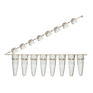 8-Strip Tubes with Hinged Attached Dome Caps, Clear