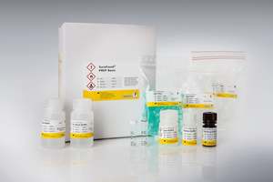 Pcr: SureFood® PREP Basic (en)