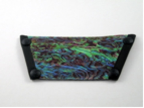 New Zealand: Paua