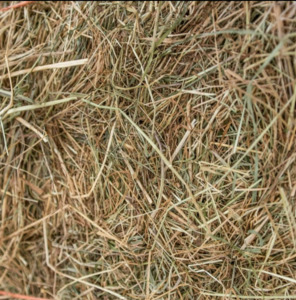 Compressed Meadow