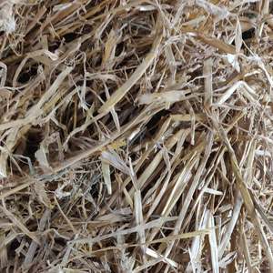 Barley Straw 7kg