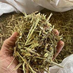 Feed And Hay: Timothy Hay Chaff