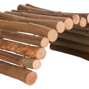 Tunnels And Play: Pop Up Play Tent