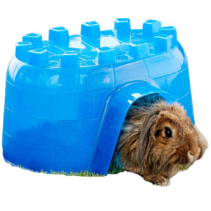 Tunnels And Play: Igloo Kaytee