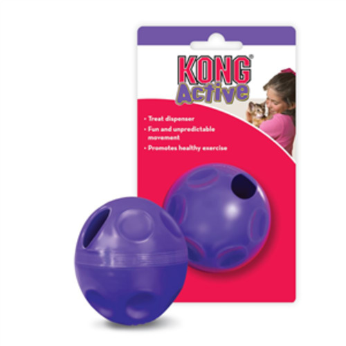Enrichment: Kong Cat Treat Dispensing Ball
