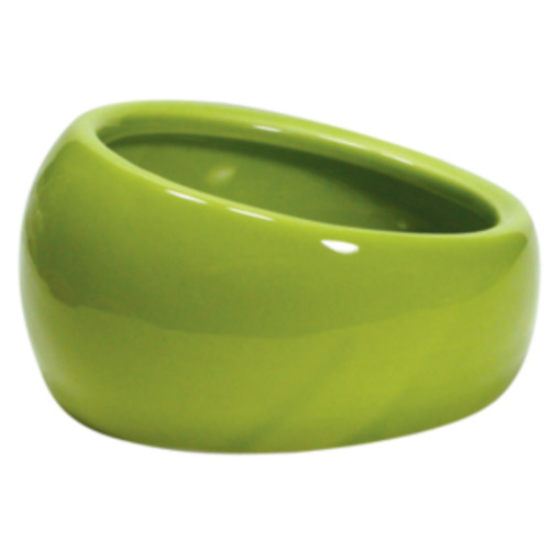 Ergonomic Dish Green Large