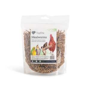 Bird Supplies: Dried Mealworms 125g