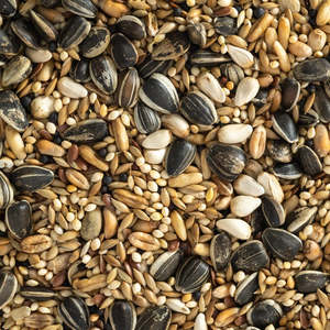 Bird Supplies: Cockatiel Mix 5kg