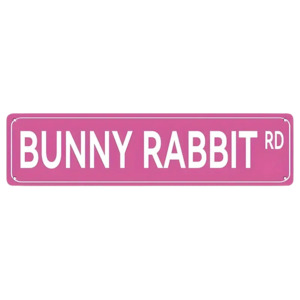 Rabbit Accesories Travel: Bunny Rabbit Rd Sign