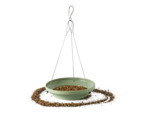 Bird Enrichment: Splash & Feed (Bird Bath or feeding platform)