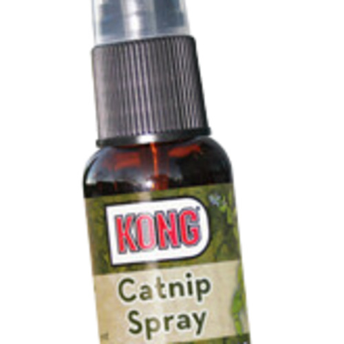 Cat Enrichment: Kong Catnip Spray