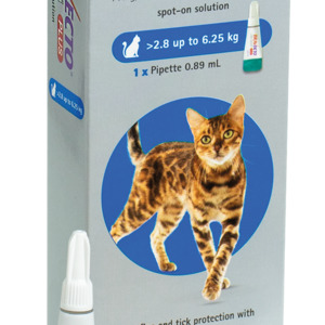 Bravecto Spot On PLUS Cat Medium Single