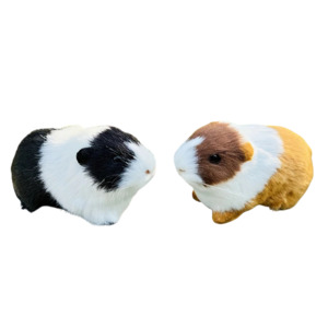 For Humans: Guinea Pig Toy Small